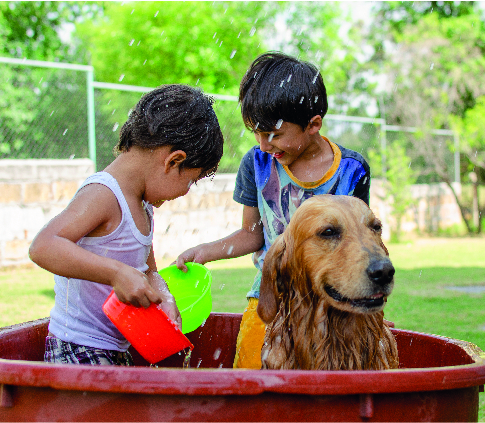 OS BENEFÍCIOS DE CRESCER COM UM PET